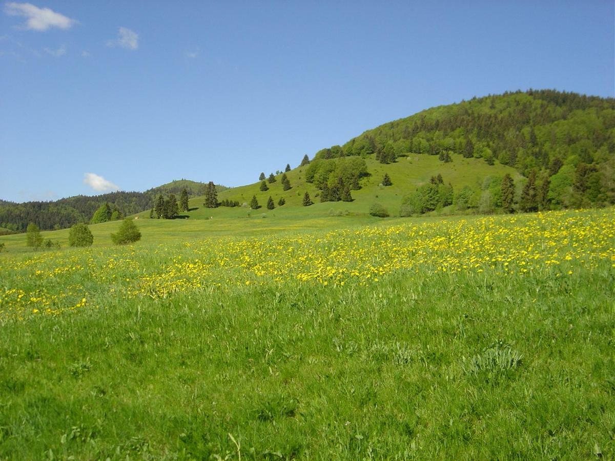 Ferienwohnungen Panoramablick Bernau im Schwarzwald Esterno foto